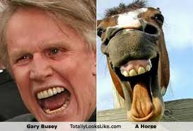 Look_alike_-_busey_horse